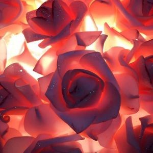 Meet your Posher, Dania